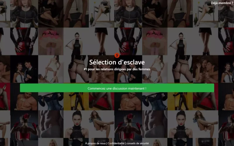 Evaluation Slave-Selection.com Arnaque