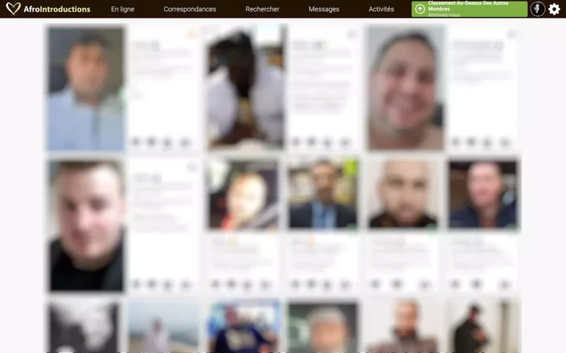 AfroIntroductions.com membres