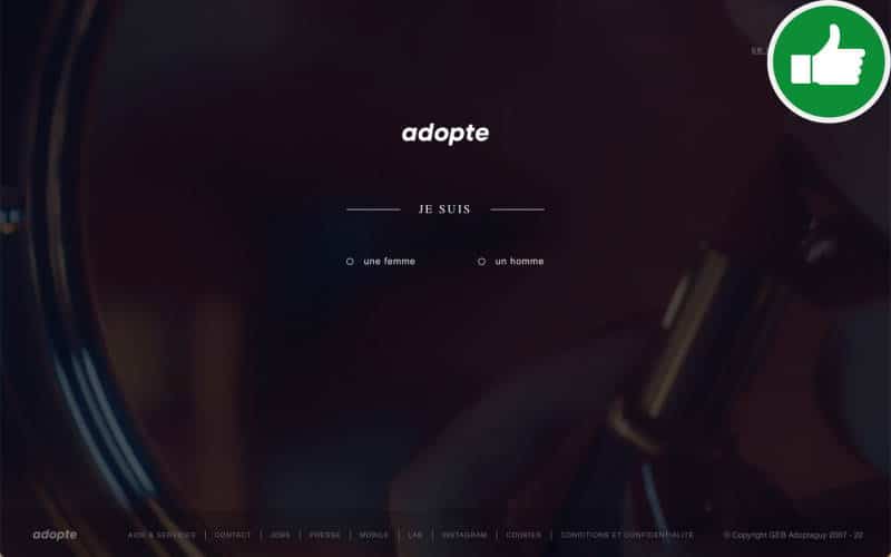 AdopteUnMec.com Abzocke