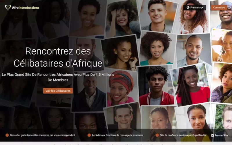 Evaluation AfroIntroductions.com page d'accueil