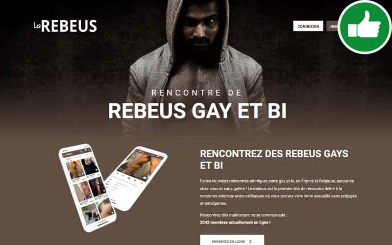 Evaluation LesRebeus.com Arnaque