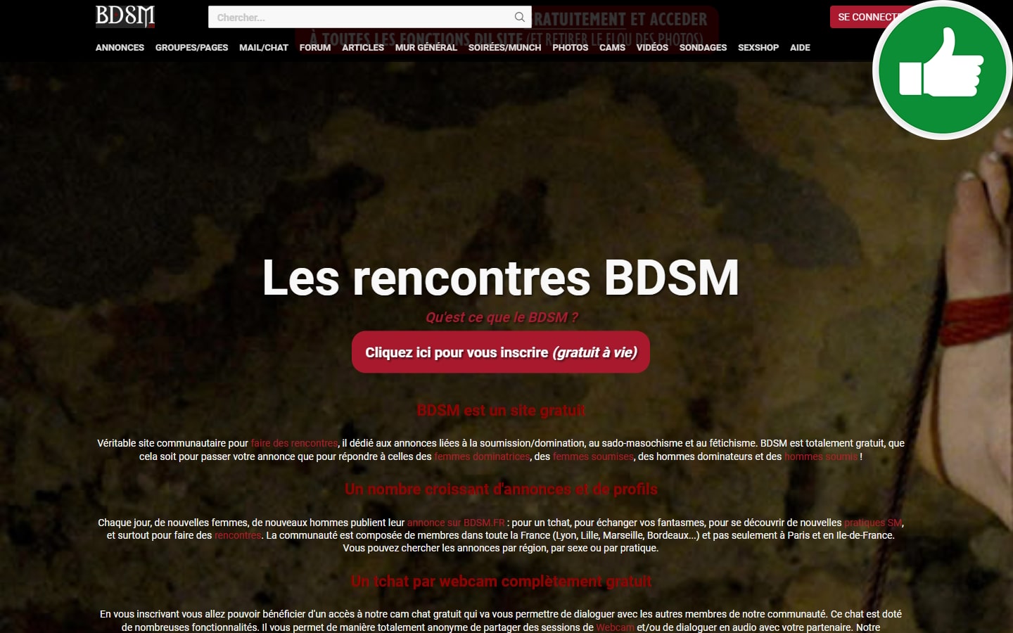 BDSM.fr