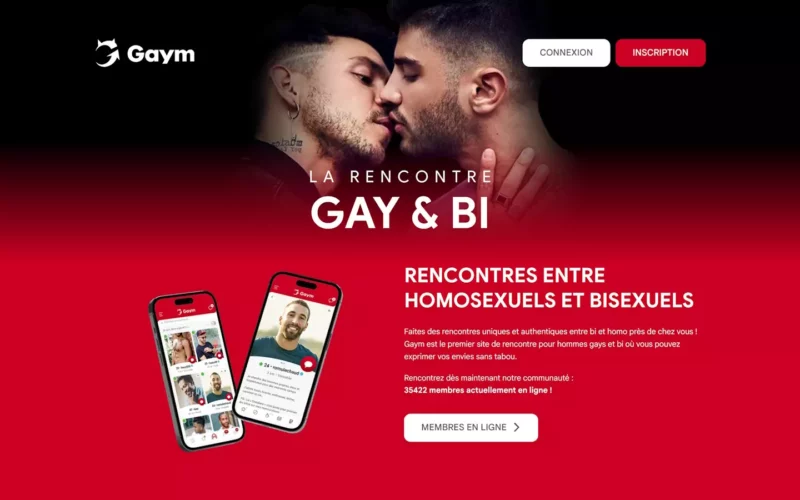 Evaluation GayMec.com page d'accueil