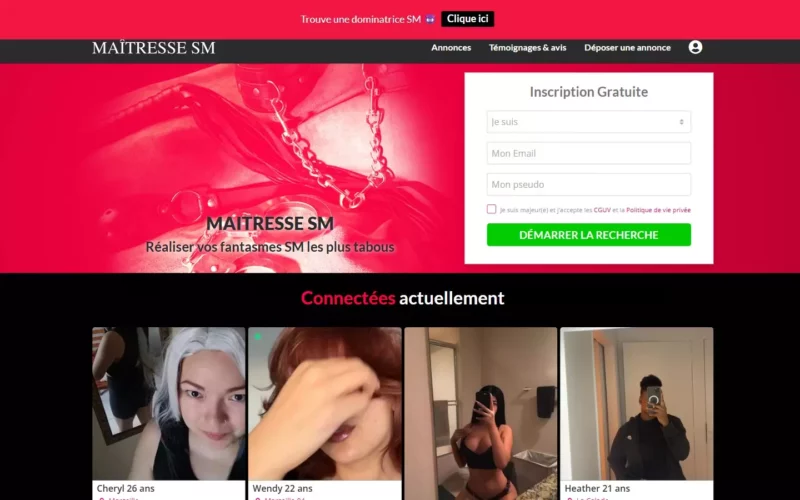 Evaluation Maitresse-SM.com page d accueil