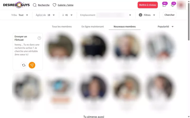 DesiredGuys.com membres