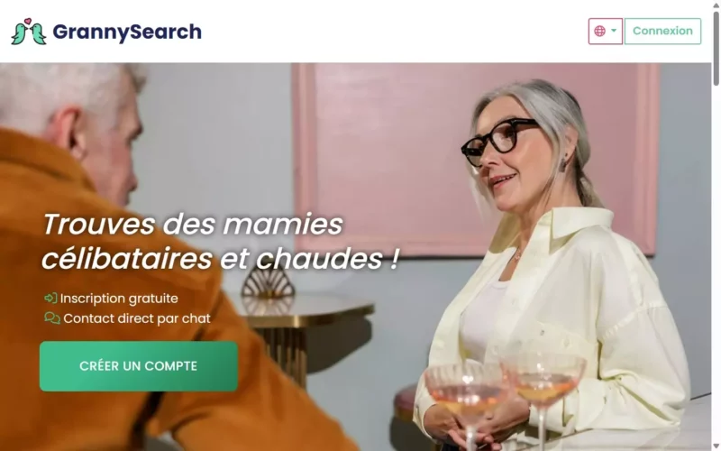 Evaluation GrannySearch.com page d'accueil